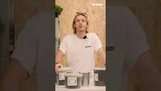 Keep Your Seeds Alive! 🌱 How to store them