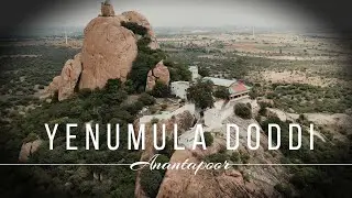 Yenumala doddi 2023