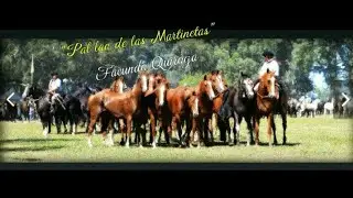 Pal lao de las Martinetas |  Facundo Quiroga