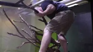 Hardscape: AMAZONAS