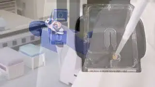 Capturing Single Cells with the BD Rhapsody&trade; Express Single Cell Analysis System