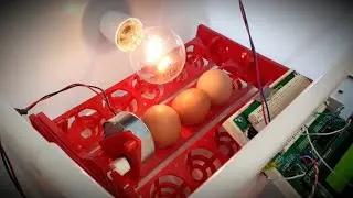 Designing of Automated Egg Incubator using PIC 18F4321 Microcontroller | Engineering  projects
