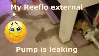 Мой насос Reeflo протекает по всему полу!