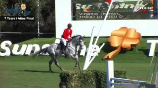 jingo final sunshine tour 7ans