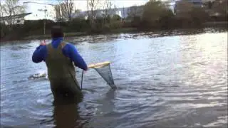 PESCANDO TRUCHONES