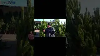 Breaking news 12/16