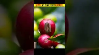 never eat this coffee #shorts #short #fact #facts