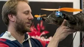 Dead Pet + Helicopter = Catcopter