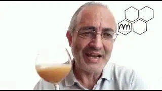 I Mieli Monoflora, Degustazioni Online, Corbezzolo - Ami - Ambasciatori dei Mieli