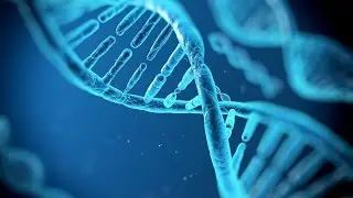 Soultech Feat. Corydalics - Endoergic Reaction (Preview)