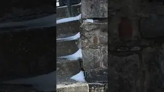 В СТЕНАХ