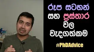 රූප සටහන් සහ ප්‍රස්තාර වල වැදගත්කම (Importance of Graphs/Figures for your Research)