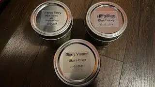 Blue Honey 🍯🍄