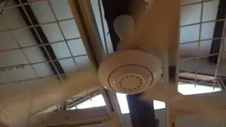 Industrial/commercial duty ceiling fan, vintage ceiling orbit fan, and wall fans in a store