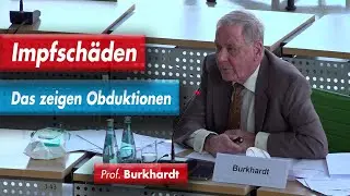 Fachvortrag: Impfsch&auml;den: Das zeigen Obduktionen!  Prof. Dr. Arne Burkhardt im s&auml;chs. Landtag