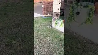 @think.pawsative Не видела. Здесь довольно холодно. Я знала, что он где-то рядом... #кот #кошачьи...