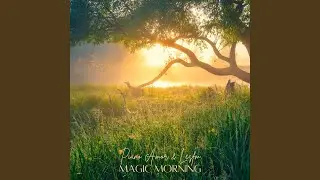 Magic Morning