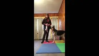 Training Your Dog to &ldquo;Go Settle&rdquo; (Relax on a Mat) &mdash; Getting started