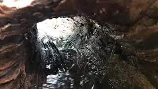 Smoky Mountains Tennessee- nature sounds
