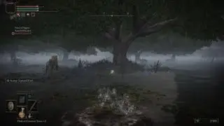 ELDEN RING™_20221221111208