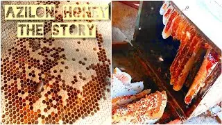 AZILON VIRGIN HONEY | WHOLE STORY UN VEILED.