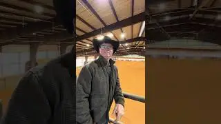 Новый год на новой земле #тренировкалошадей #новыйгод #сновымгодом