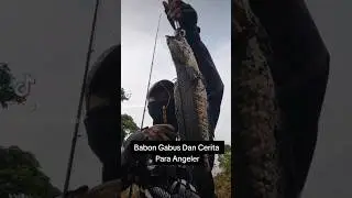 Gabus Babon Dan Cerita Angeler Viral