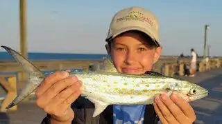 Apache Pier |Myrtle Beach| fishing!