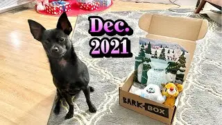 DECEMBER 2021 SMALL DOG BARKBOX UNBOXING | RUDOLPH THEME!