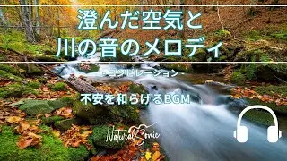 Natural Sonic「 澄んだ空気と川の音のメロディ」 コンピレーション - 不安を和らげるBGM -