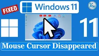 ✅ How To Fix Mouse Cursor Disappeared in Windows 11