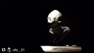 This grey alien told us the truth