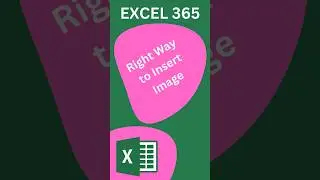 How to Insert Image in excel proper way  #excel #microsoftoffice365 #exceltutorial #exceltips