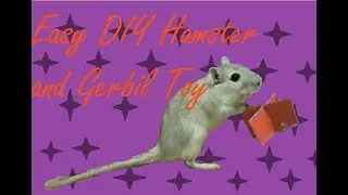 DIY EASY Hamster and Gerbil Toy | Alexa Misty
