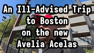 the avelia video