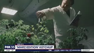 Heinz working with Florida Tech professor to grow tomatoes on Mars