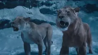 Mufasa & Sarabi - Can You Feel The Love Tonight