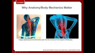 Fitness For Farm Life: Body mechanics and safe lifting