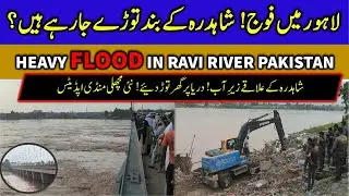 Lahore FLOOD ALERT 2025! Ravi River Situation Update | Pakistan Flood in 2025 |Shahdara Flood Update
