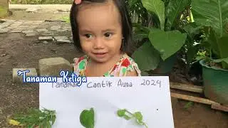 Mencari Tanaman Bareng Aura di sekitar Rumah #bermaindialam #anakbalita #toddlers