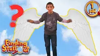 Can Humans Could Fly? Discovering the Possibilities of Flight | Finding Stuff Out
