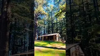 #himachalpradesh #thegreatescape #bahu #winter2025