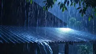 Calm Cozy Night Rain ASMR Sounds to Ease Anxiety for Late Night Calm Thoughts and Soft Dreams 52
