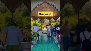 magical garden of Marrakech.. #shorts #travelshorts #morocco #travel