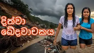 දිත්වා සුළිකුණාටුවෙන් විනාශ වූ ශ්&zwj;රී ලංකාව 🥲 | @DarkWorld-i2u 