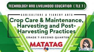 TLE 7- MATATAG CURRICULUM (2ND QTR) CROP CARE & MAINTENANCE, HARVESTING & POST-HARVESTING PRACTICES