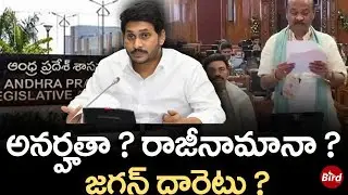 అనర్హతా? రాజీనామానా ? జగన్ దారెటు ? | AP Speaker Ayyanna Patrudu Comments On YSRCP Leaders |