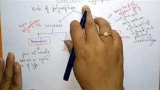 Parametric Polymorphism | Example | OOPs in C++ | Lec-34 | Bhanu Priya
