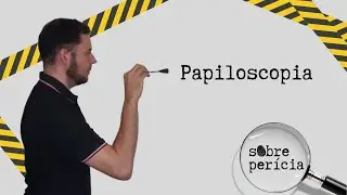 Papiloscopia