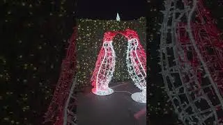 Ice Skate Katy 11/2025